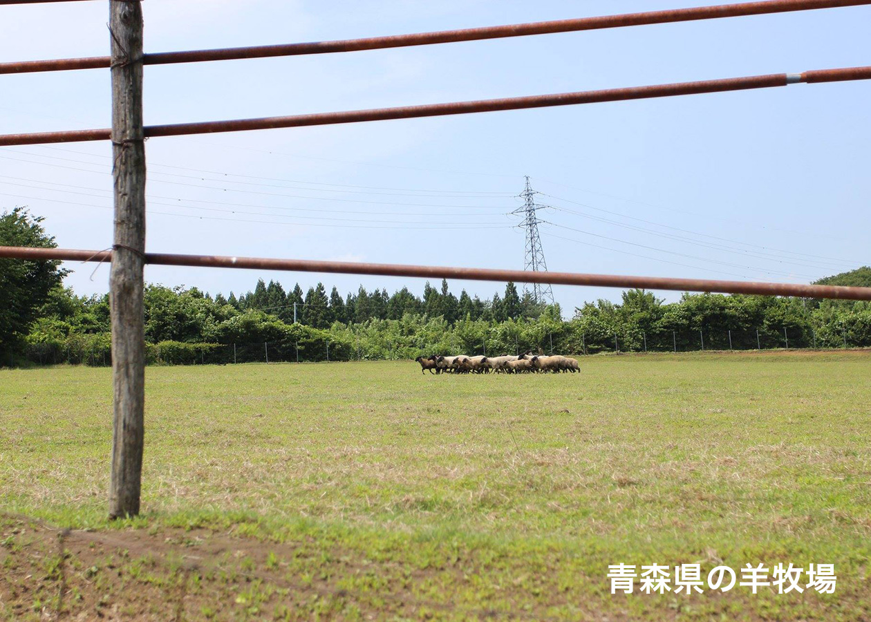羊肉ブームとブームの固定化とは