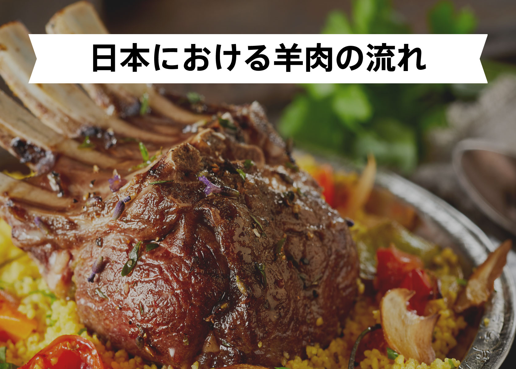 増えてる？減ってる？オージー・ラム輸出向け数量の推移グラフの見方