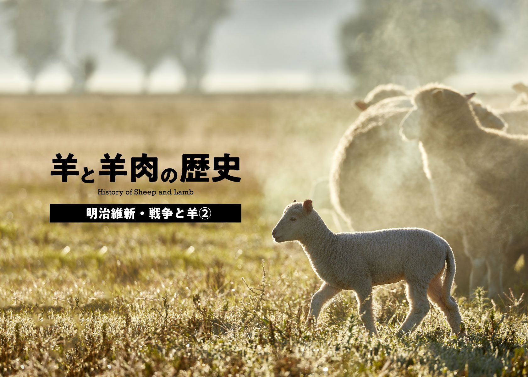 羊と羊肉の歴史2・明治維新・戦争と羊その2　緬羊100万頭計画始動！