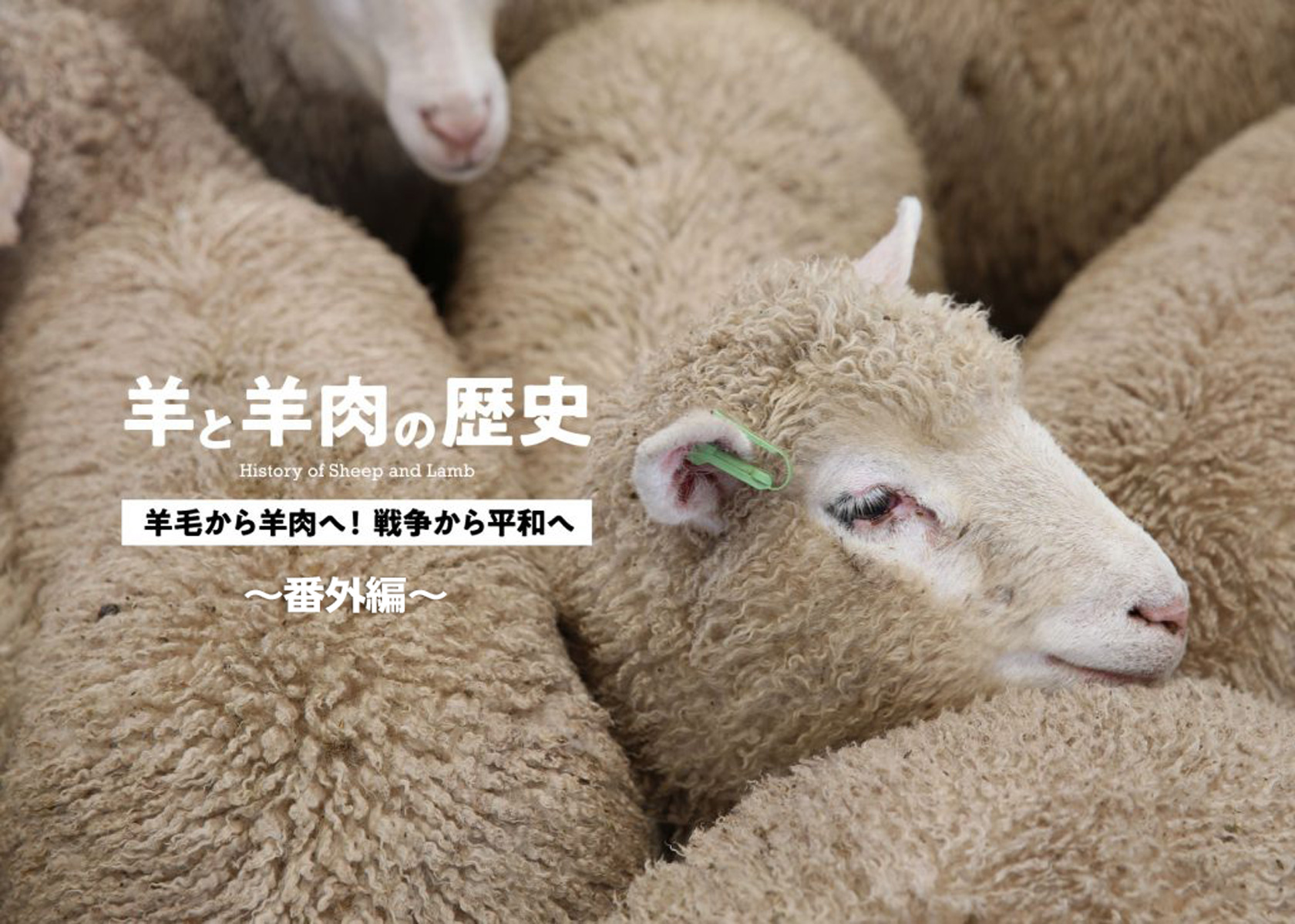 羊と羊肉の歴史3・ちょっと脱線！ジンギスカンはどこから来たのか？