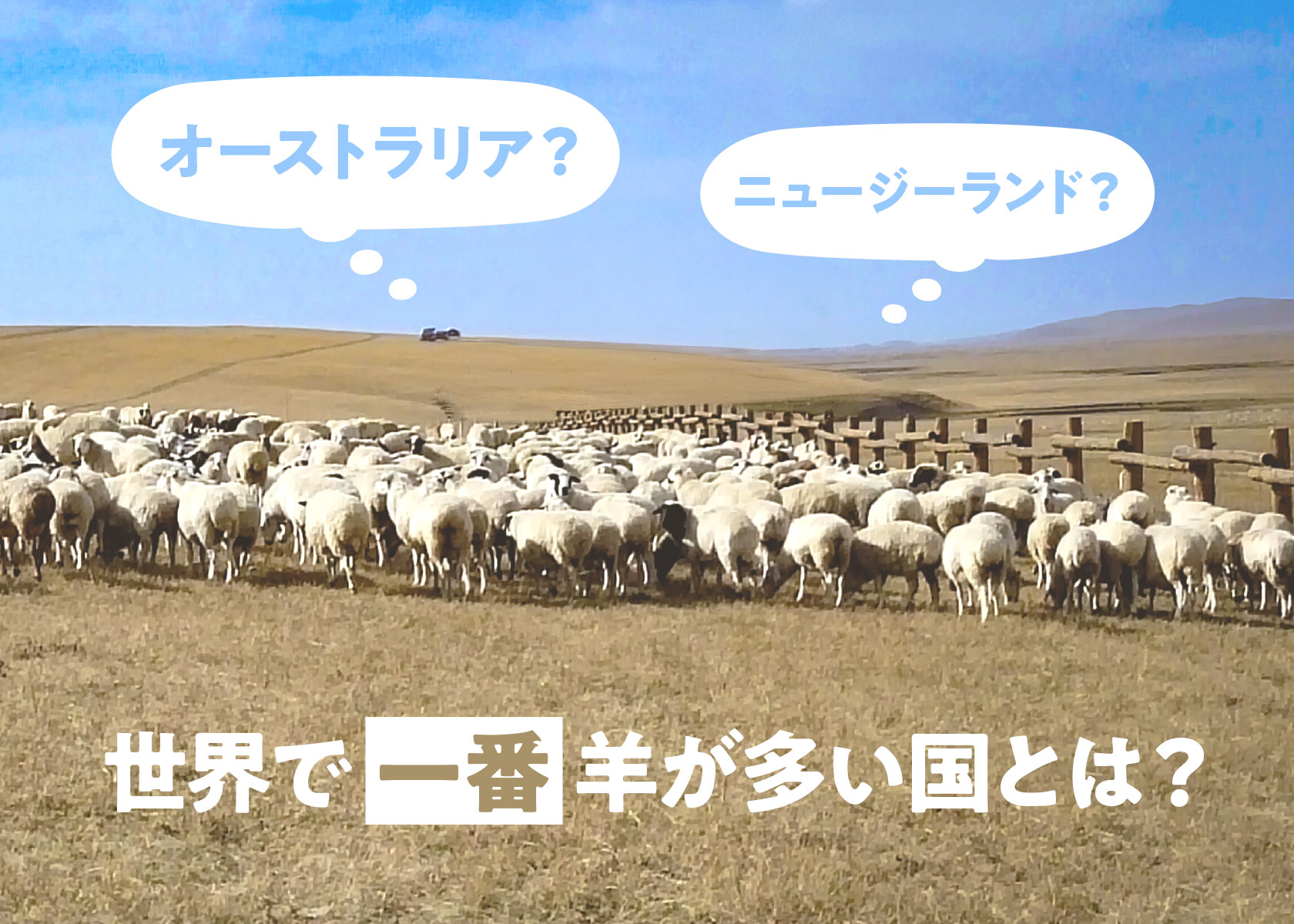 世界で一番羊が多い国とは？そして、オーストラリア羊産業のすごさ